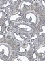 4640_1_isidore_leroy_charlotte_gris_6240803-57899