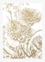 9210_1_KEK-Amsterdam_Engraved-Flowers-Gold-2_M_MW-028n-93429
