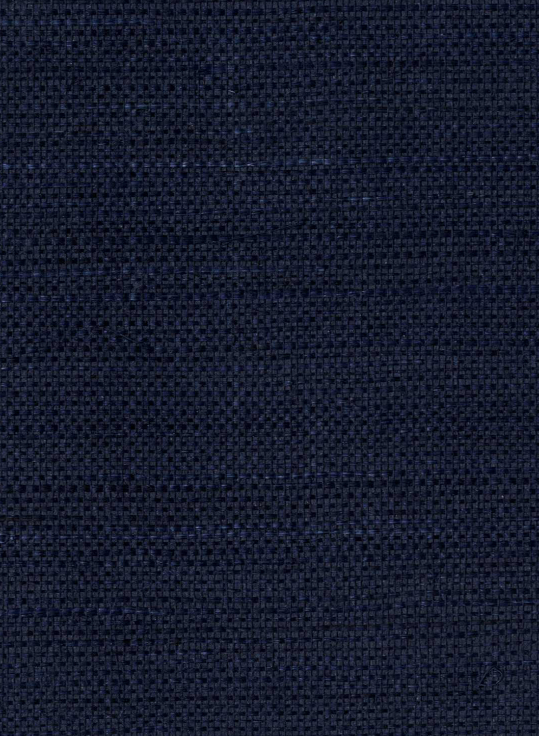 Tapete Campos - Indigo