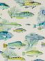 6919_1_Manuel_Canovas_Fidji_03108-01-87341