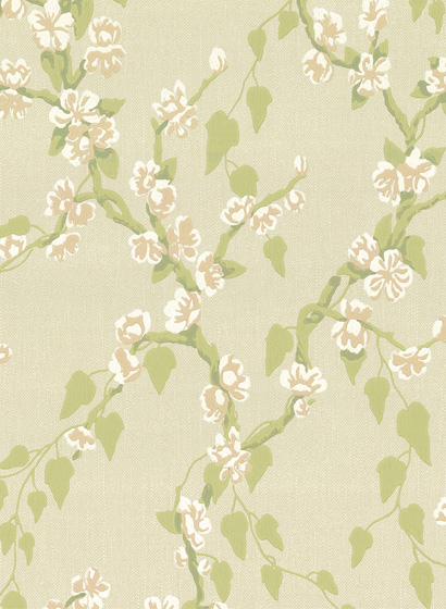 Tapete Sakura - Pomme