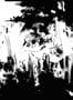 6637_1_Rebel-Walls_Structure_R18261-89150