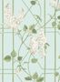 4074_5_cole-and-son_wisteria_115-5014-31756