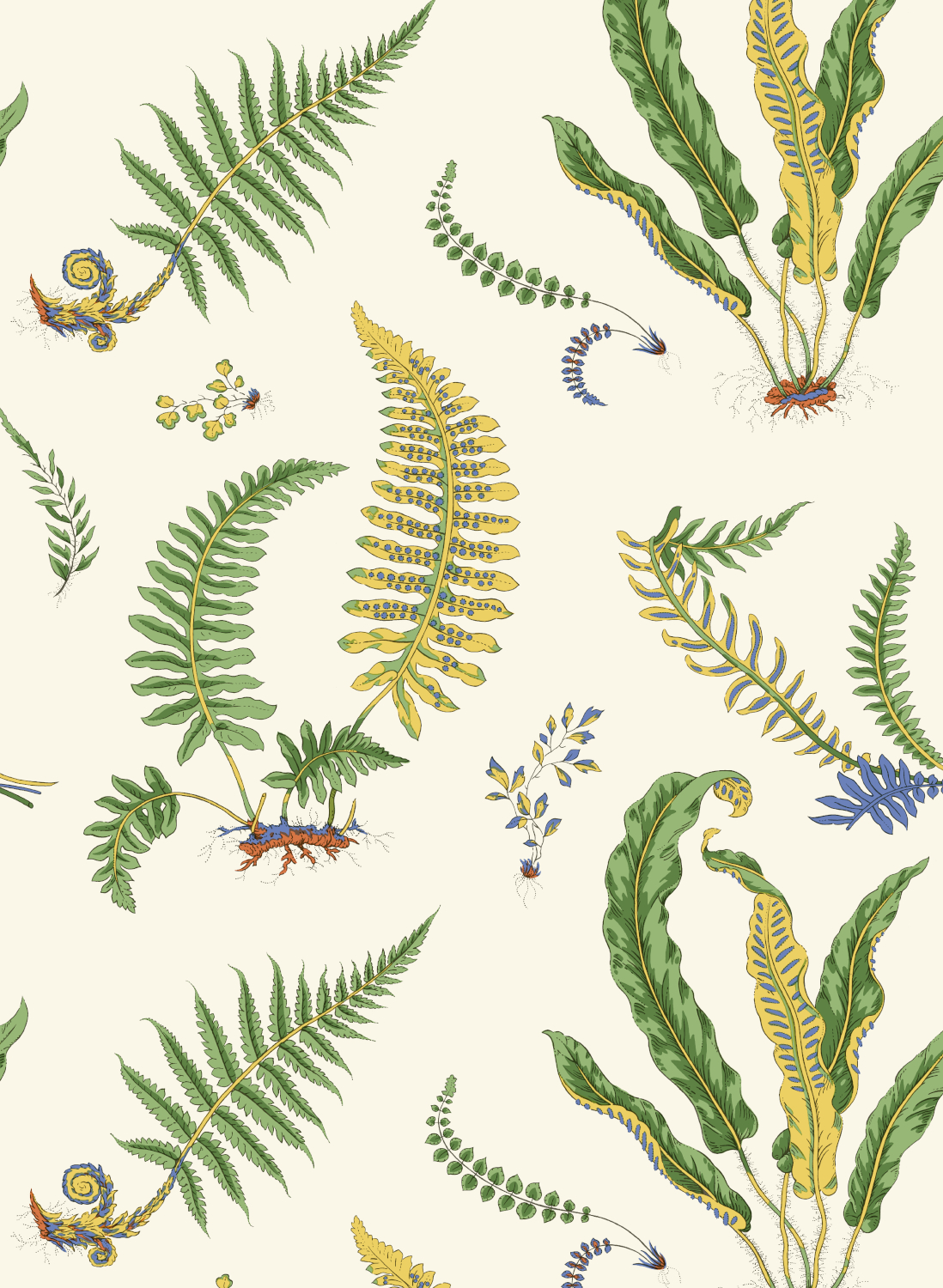 Tapete Ferns - Emerald