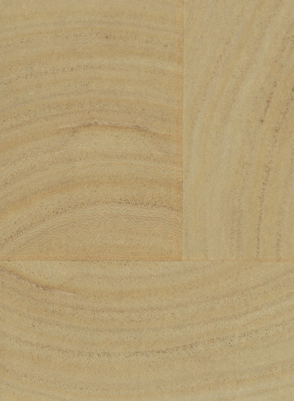 Tapete Empreintes - RM 1040 15