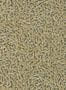 6982_1_Zoffany_Nootka_313027-92080