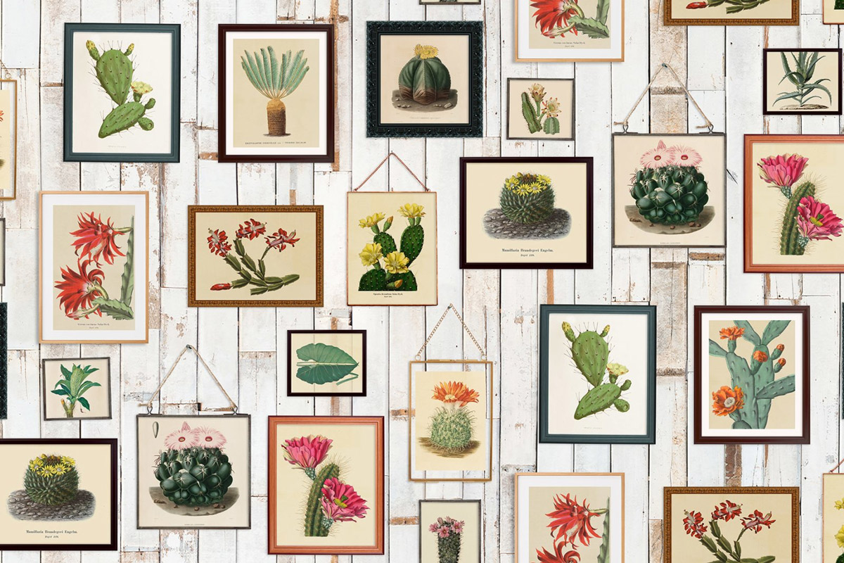 Wandbild Cactus Wall Art - Original