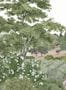 15396_10_Isidore_Leroy_Provence_6266724-181630