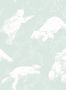 3698_1_boras_polarn_6258-30405