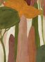 17988_01_Coordonné_Camécuaro_C00053-174866