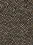3037_5_cole_and_son_senzo_spot_109_6032-27940