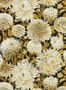 6803_4_Harlequin_Dahlia_112846-87900