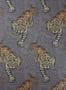2657_1_osborne_little_tyger_tyger_w6542-01-26369
