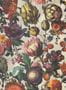 19042_01_Eijffinger_Flourish_351230-181250