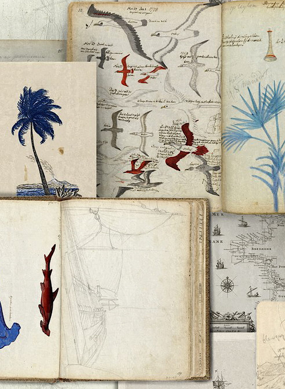 Tapete Seamans Journal
