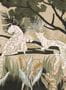 18144_04_Tres_Tintas_Onça_M5301-4-179553