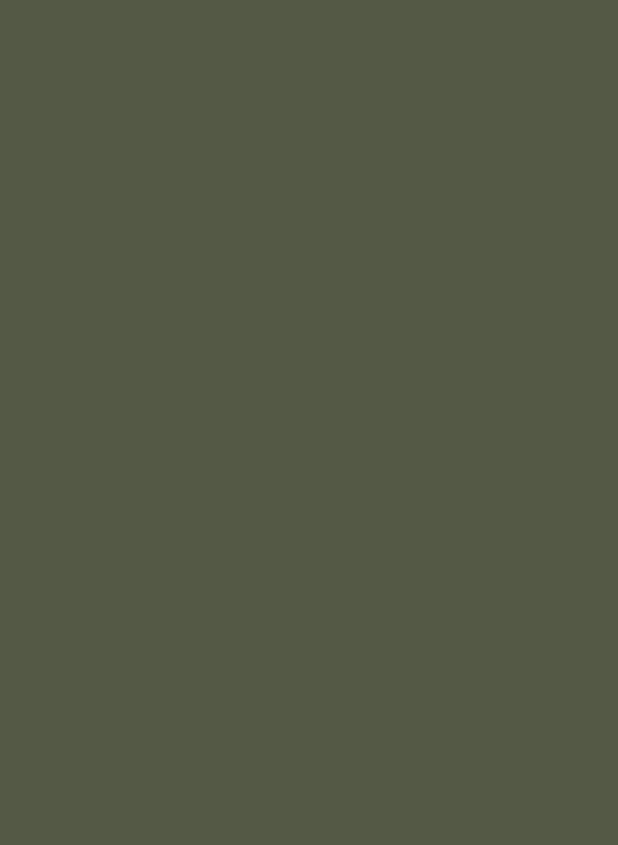 Oilcloth 362