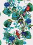 2971_1_osborne_little_rain_forest_w7026-01-27661