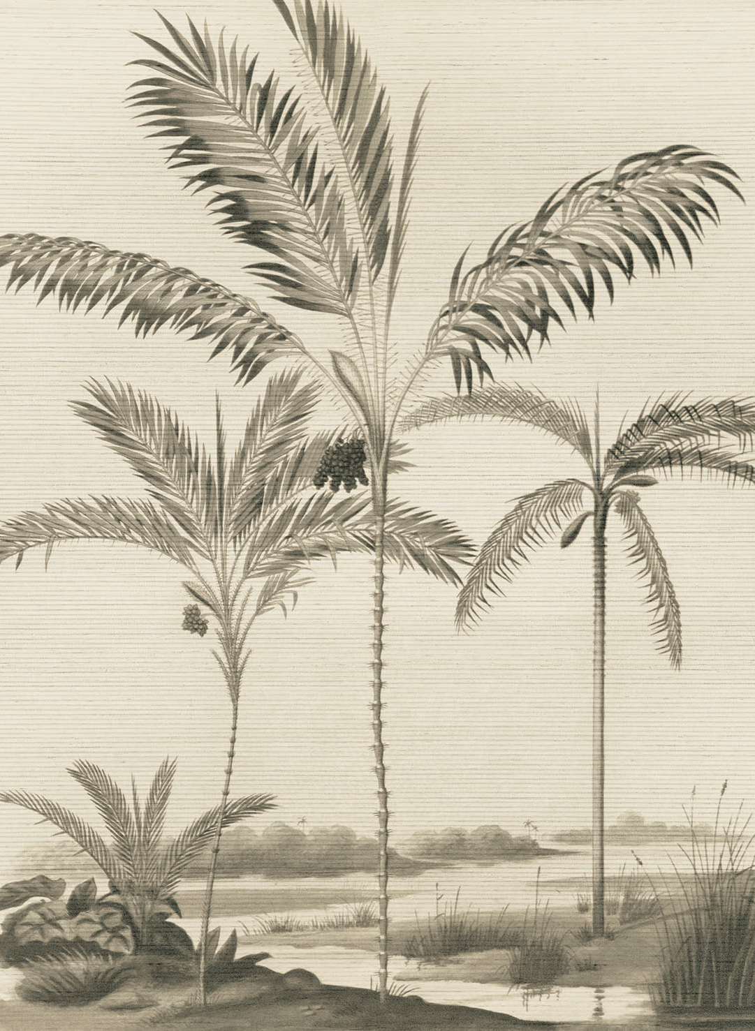 Wandbild Palm Portrait - Black/ White