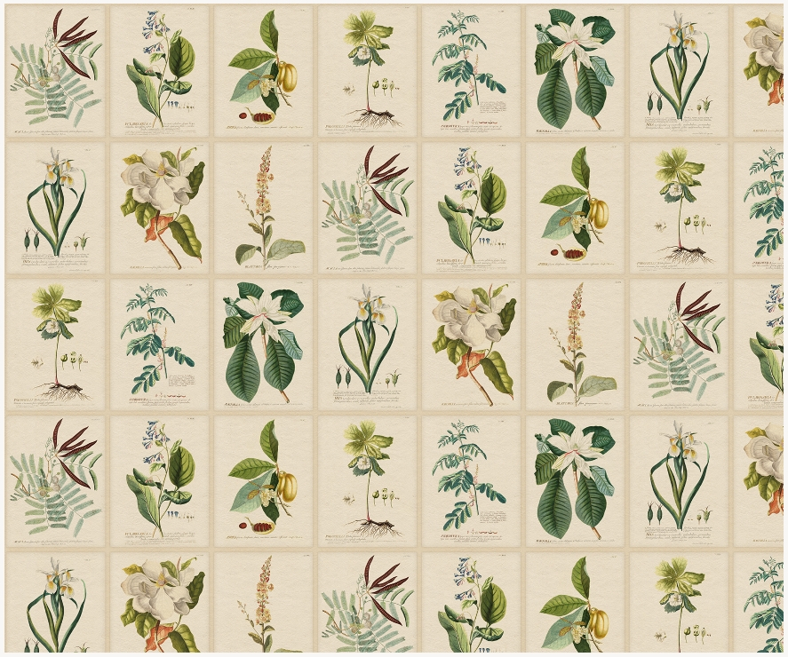 Wandbild Flora - green