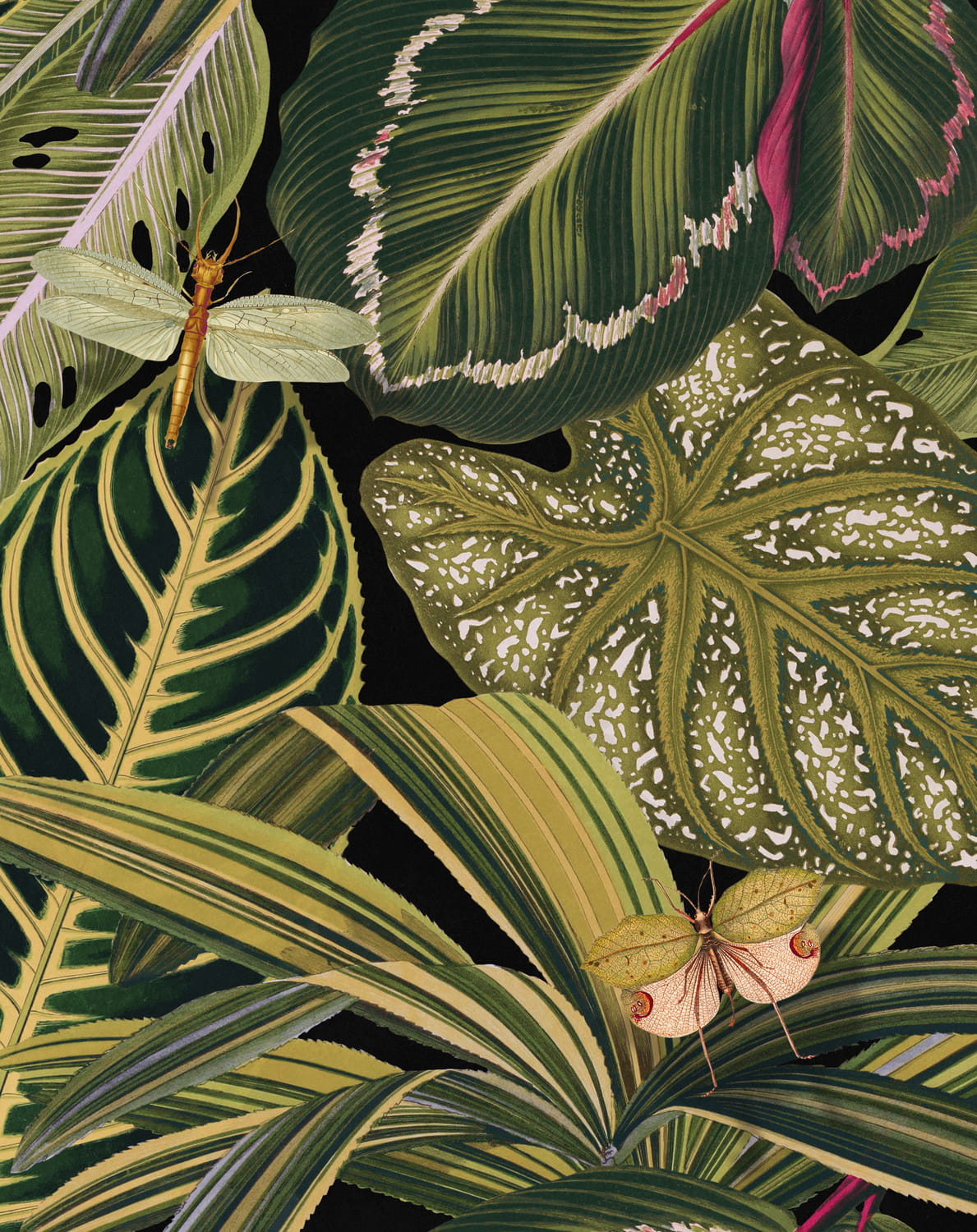 Fabric Amazonia - Linen - FB00005