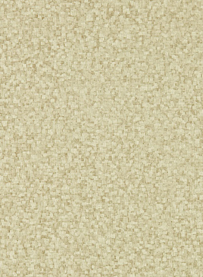 Tapete Mosaic - Fossil