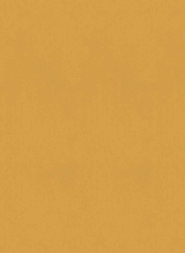 Tapete Parthénon - RM 1045 22