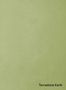 Terrastone-Earth-89-Spring-Green-colour-sample-named-190541