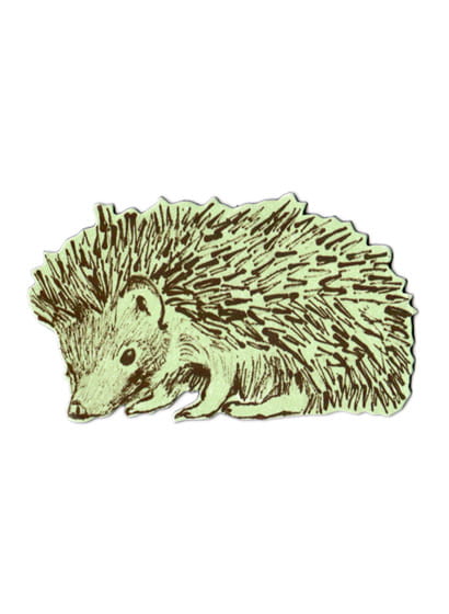 Sian Zeng Magnet Hedgehog - Hedgehog Sideways Green