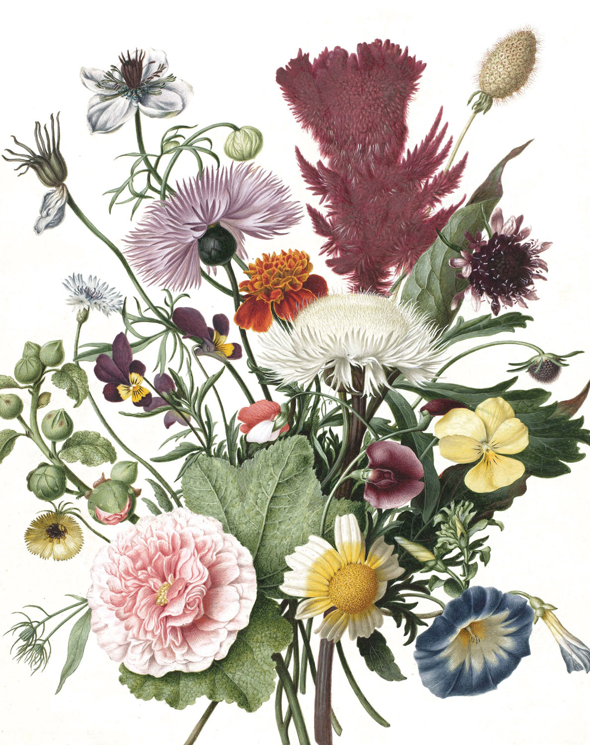 Papier peint panoramique Wild Flowers 1 - XS