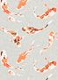 7716_4_Harlequin_Koi_110903-101276