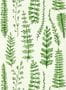8849_1_Scion_Ferns_Juniper_112798-75115