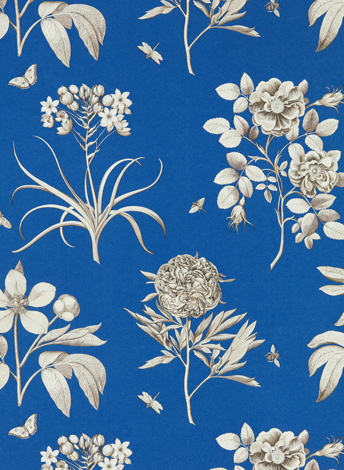Tapete Etchings & Roses - French Blue