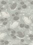 7679_2_Littlephant_Nobel_Nymphs_1472-98423