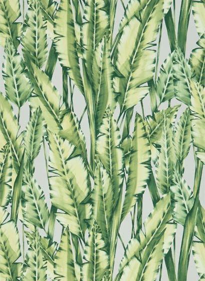 Tapete Tiger Leaf - green