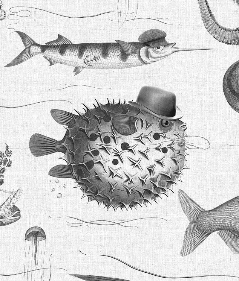 Tapete Dandy Fish - WP-803