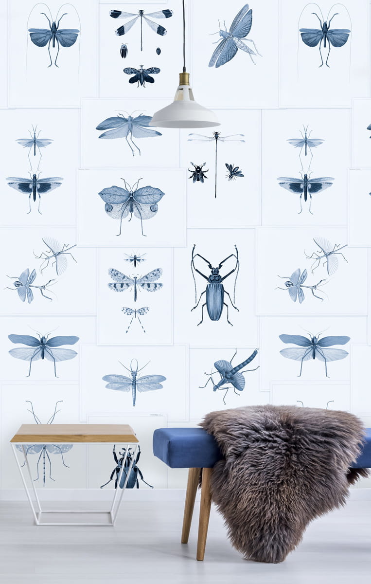 Tapete Entomology - WP20235