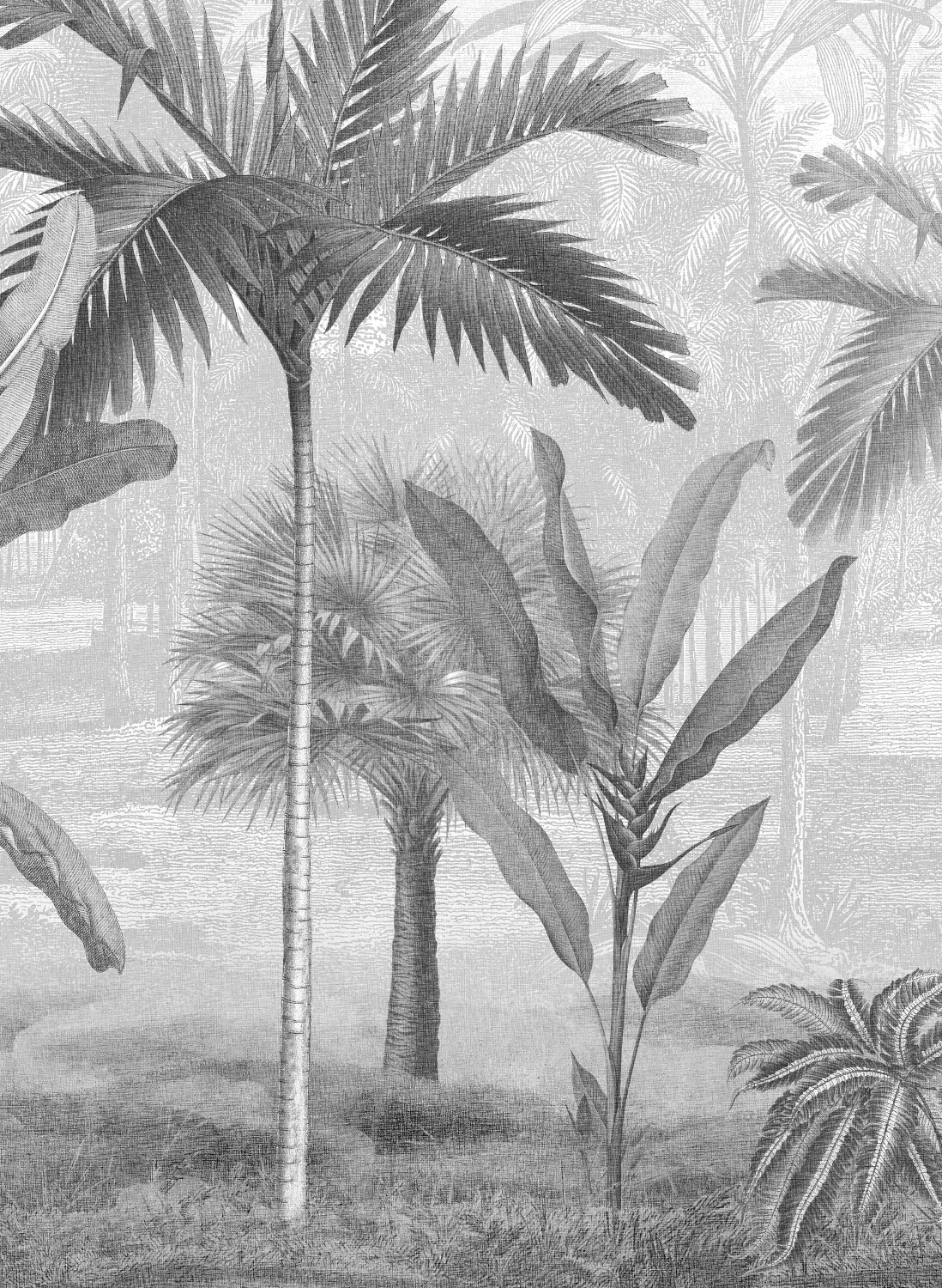 Wandbild Vintage Palms - 9452W