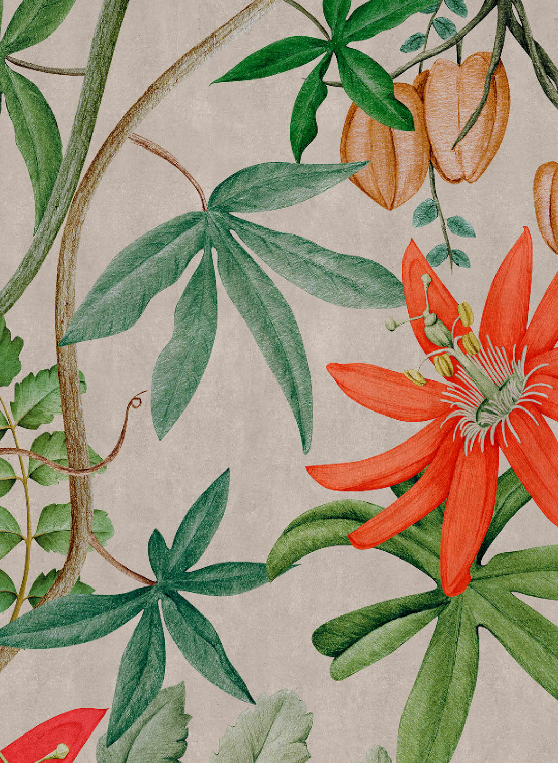 Tapete Passiflora - UON-11
