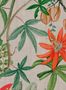 17705_01_NLXL_Passiflora_UON-11-164219