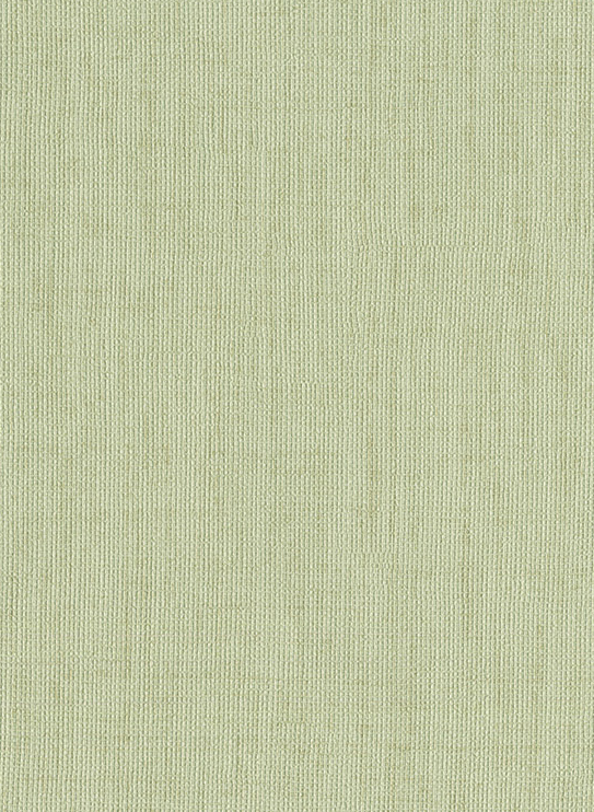 Tapete Nikko Plain - 9863