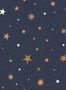 6654_1_Rebel_Walls_Stardust_R18545-81979