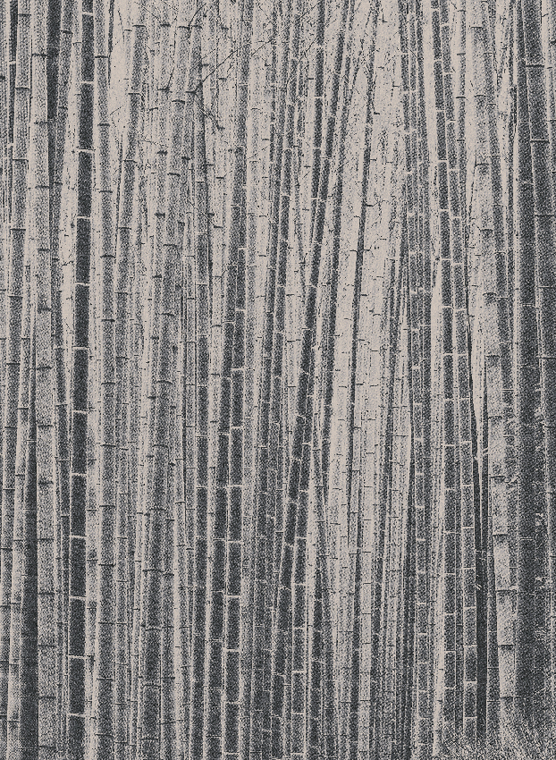 Wandbild Arashiyama - Black Panel 3