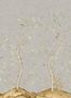 8324_3_Andrew_Martin_Songbird_KKSBMI-112763