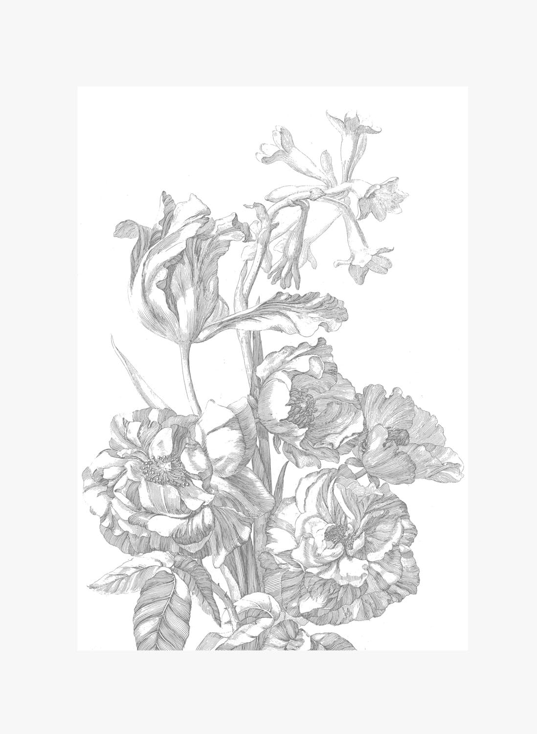 Wandbild Engraved Flowers 4 - M