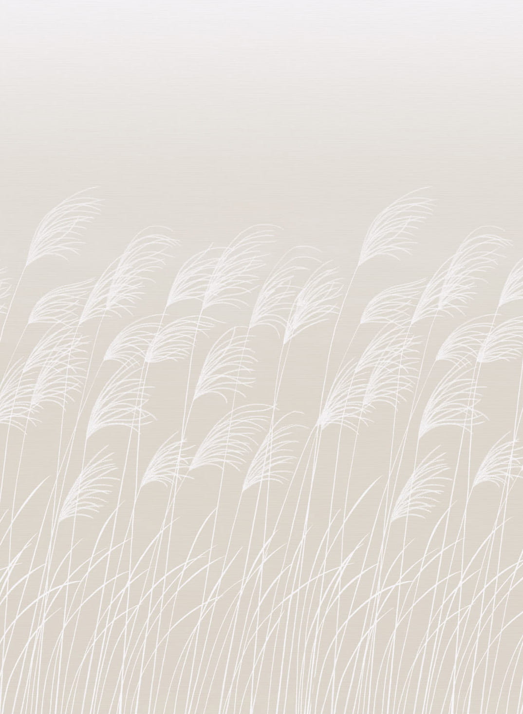Wandbild Miscanthus - Parchment/ Frost