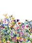 2922_1_rebel_walls_may_meadow_r14531-27460