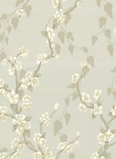 Tapete Sakura - Fawn