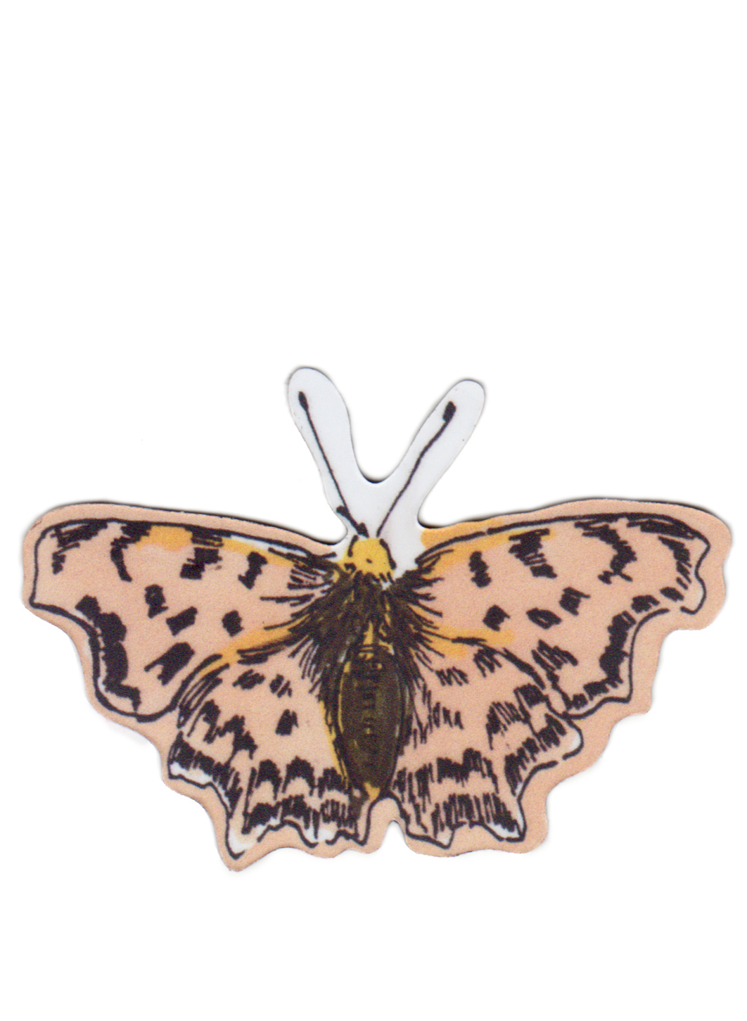 Magnet Peach Moth