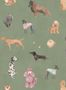 15342_02_Sandberg_Taiga_and_Friends_S10705-170683